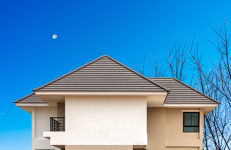 Single Ply Roofing